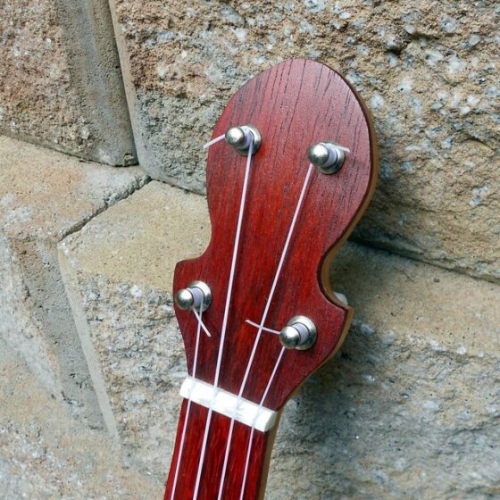 Banjolele 098T Fretless Tenor Uke Gourd Banjos by Barry