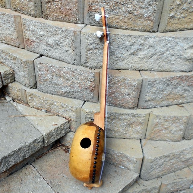 Banjolele 098T Fretless Tenor Uke Gourd Banjos by Barry