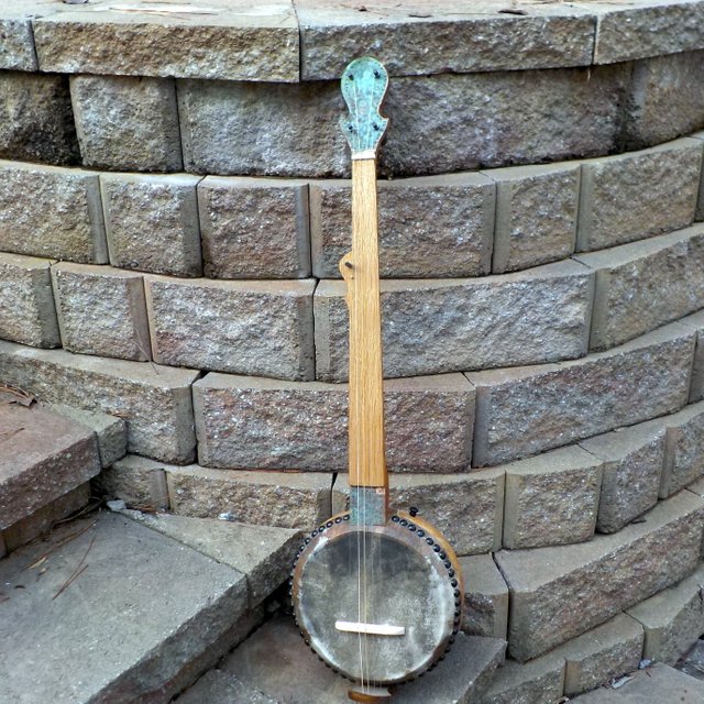 Banjo473 Copperhead Gourd Banjos by Barry