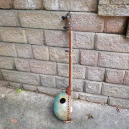 New Banjo #527 Hammered Copperhead 5 string fretless - Image 9