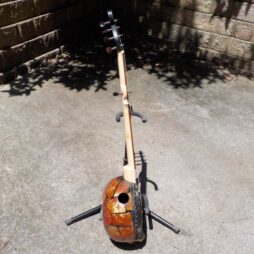 Banjo #529 Gourd 5 string fretless "Mosaic" - Image 5