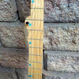 Banjo #535 "Earthtone" fretted 5 string Gourdie - Image 5