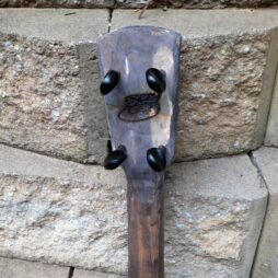 Banjo #536 Fencepost fretless 5 string gourd banjo - Image 3