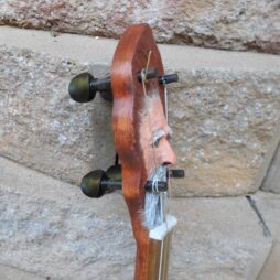 Banjo #461 5 string fretless Gourdie "Woodspirit" - Image 3