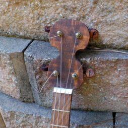 Banjo #534 Gourd Tenor 4 string Irish tuning EADG - Image 4