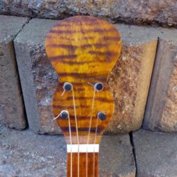 Banjo #537 5 string Naked Maple fretless gourdie - Image 6