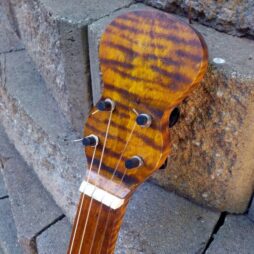 Banjo #537 5 string Naked Maple fretless gourdie