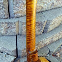 Banjo #537 5 string Naked Maple fretless gourdie - Image 7