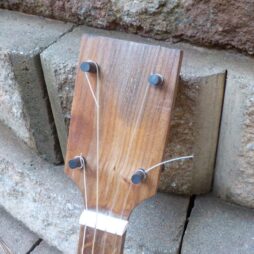 Banjo #540 "Earthtone" fretted 5 string Gourdie - Image 6
