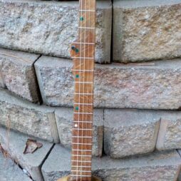 Banjo #540 "Earthtone" fretted 5 string Gourdie - Image 7