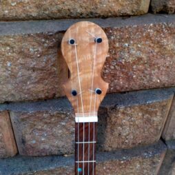 Banjo #542- Tall Gourd, 5 string fretted gourd banjo - Image 5
