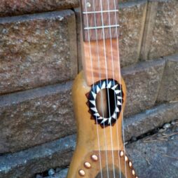 Banjo #542- Tall Gourd, 5 string fretted gourd banjo - Image 4