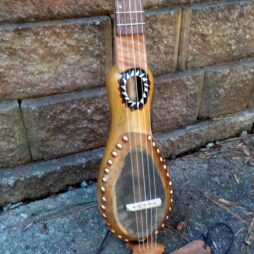 Banjo #542- Tall Gourd, 5 string fretted gourd banjo - Image 3
