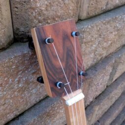 Banjo #545 Fretless Earthtone 5 string banjo - Image 8