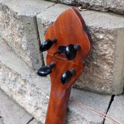 Gourd Banjo #847 5 string fretless "Mosaic" - Image 7