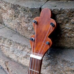 Banjo #548 Fretted "Tone Ring" gourdie - Image 5