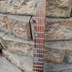 Banjo #548 Fretted "Tone Ring" gourdie - Image 3