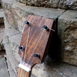 Banjo #556 Fretless "Earthtone" gourd 5 string - Image 4
