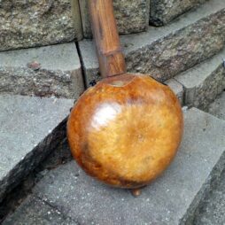 Banjo #556 Fretless "Earthtone" gourd 5 string - Image 5