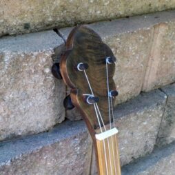Banjo #561 "Small hands" fretless 5 string gourdie - Image 3