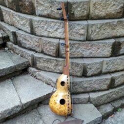 Banjo #557 fretless "Live Edge" Bottle gourdie - Image 6