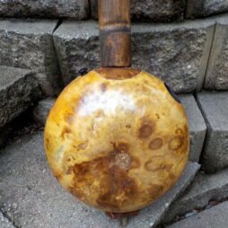 Fretted 5 String Gourd Banjo #555 "Mini 5 Travel banjo 17"scale - Image 3