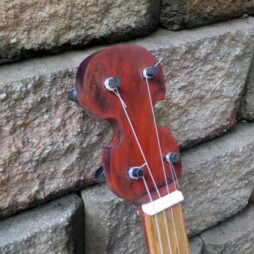 Banjo #560 5 string fretless Gourdie w/ custom 5th string - Image 4