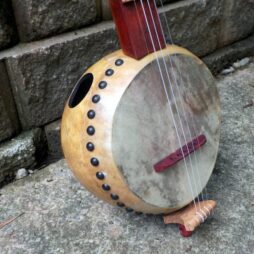 Banjo #560 5 string fretless Gourdie w/ custom 5th string - Image 3