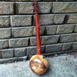 Banjo #560 5 string fretless Gourdie w/ custom 5th string - Image 7