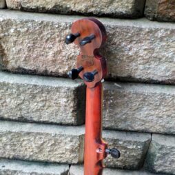 Banjo #560 5 string fretless Gourdie w/ custom 5th string - Image 6