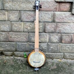 Banjo#562 "Roadkill Royalty" 5 string fretless Gourdie - Image 3