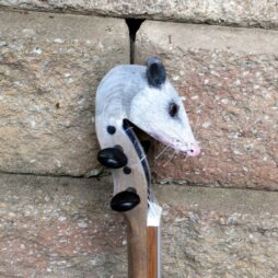 Banjo#562 "Roadkill Royalty" 5 string fretless Gourdie - Image 7