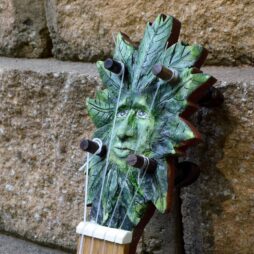 Banjo #513 Greenman 5 string fretless - Image 3