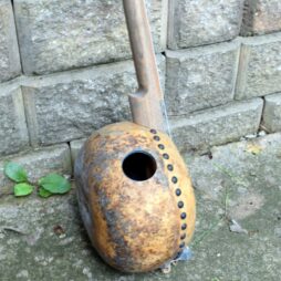Banjo#562 "Roadkill Royalty" 5 string fretless Gourdie - Image 6