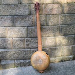 Banjo #513 Greenman 5 string fretless - Image 6