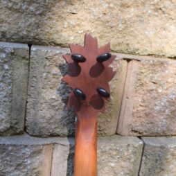 Banjo #513 Greenman 5 string fretless - Image 5