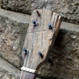 Banjo #559 Fencepost fretless 5 string gourd banjo - Image 6