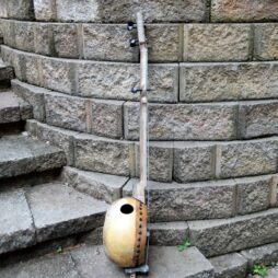 Banjo #559 Fencepost fretless 5 string gourd banjo - Image 5