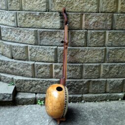 Banjo #563 fretless Gourdie "Minstrel" 5 string - Image 6