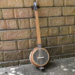 Banjo #558 Roadkill Royalty Armadillo edition - Image 3
