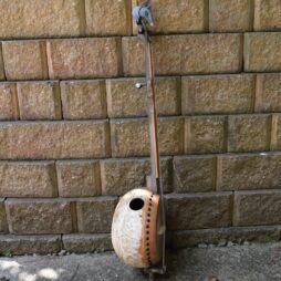 Banjo #558 Roadkill Royalty Armadillo edition - Image 6