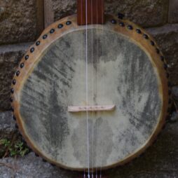 Banjo 565 "Big Hollow" 5 string fretless Gourdie - Image 5