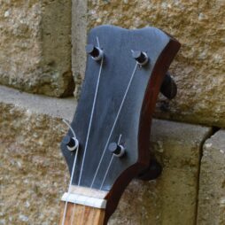 Banjo 565 "Big Hollow" 5 string fretless Gourdie - Image 7