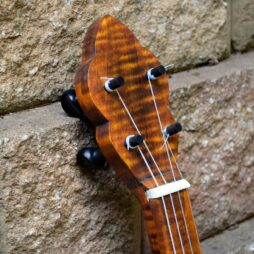 Banjo #564 - Image 4