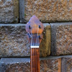 Banjo #568 Naked Maple fretless - Image 4