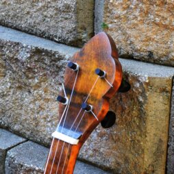 Banjo #568 Naked Maple fretless - Image 3